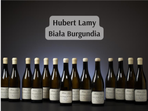 Hubert Lamy Biała Burgundia (800 x 600 px)